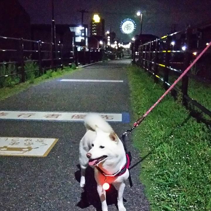 Ad4dcf3d 9c75 4034 954a 50d45ecd7379