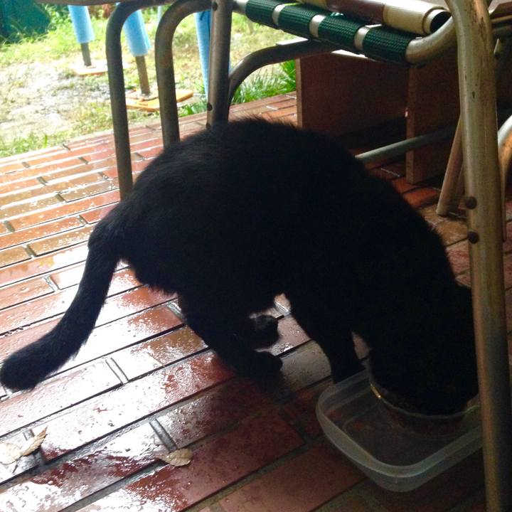 Ad4dd8e0 8c82 47f8 bb41 0273294147bf