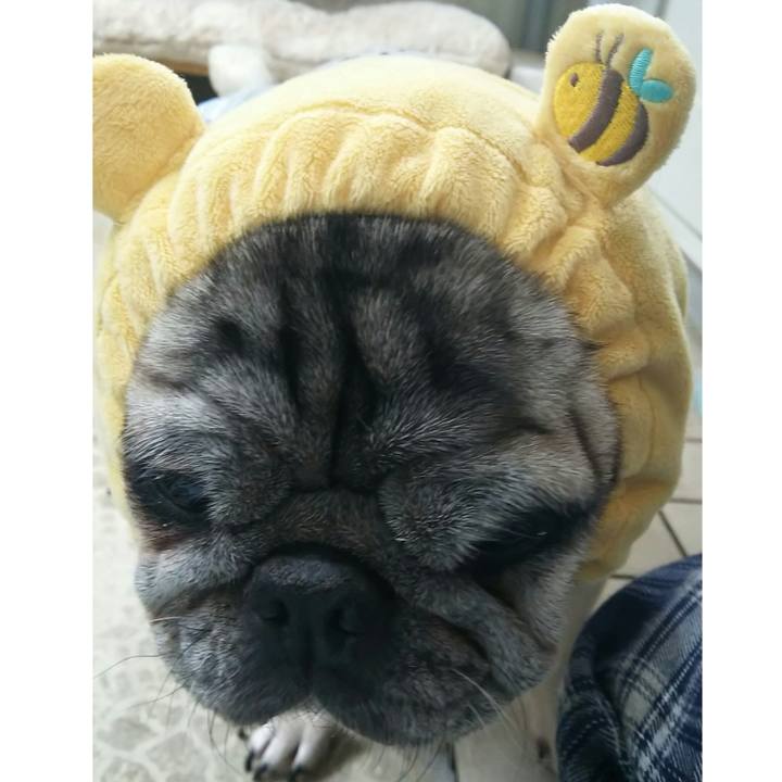 Ad4dda93 442f 4b9b ad39 b903b1c38517