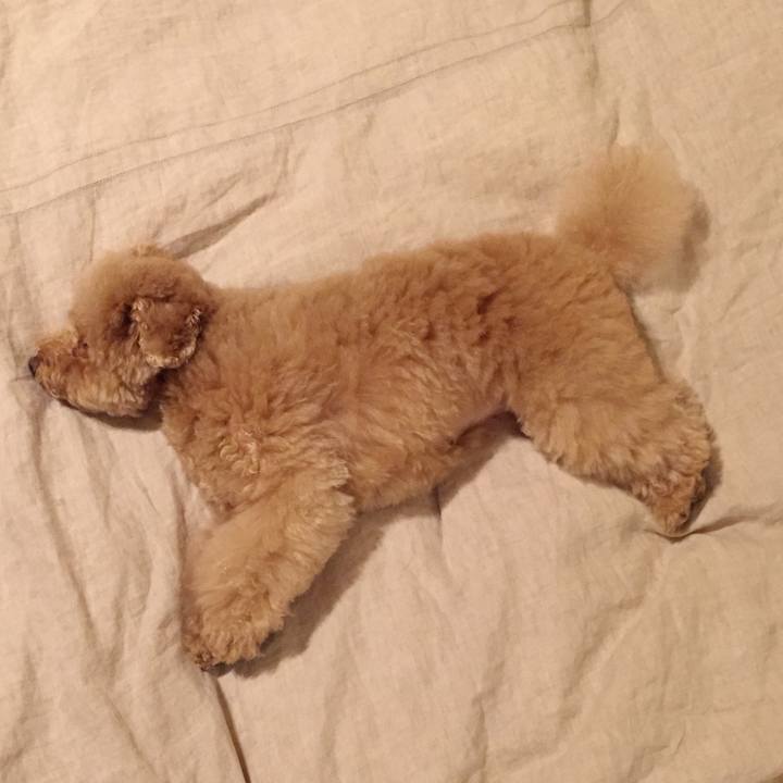 Ad4df971 0373 4254 9816 15380303a1ee