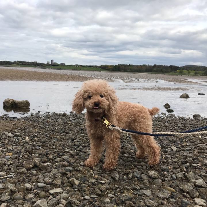 Ad4e149f d085 4432 993a 15b59da601f6