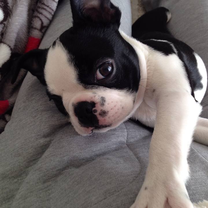 Ad4e9819 8d9e 4808 bf50 a50de2489712