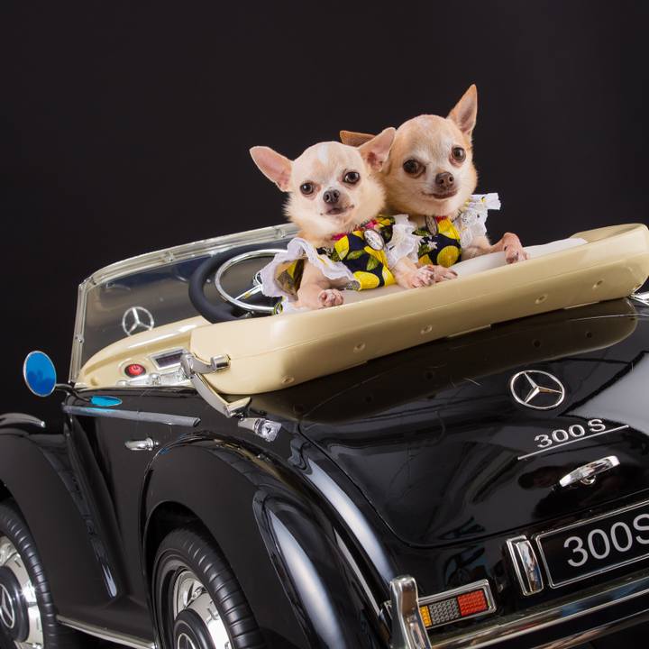 Ad4f6d05 f88c 4953 b201 80c630d87f31