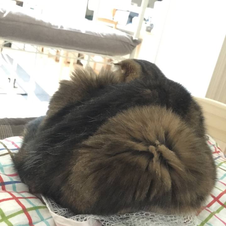 Ad4fa45a f394 4a26 9fa8 c1edc749f73f