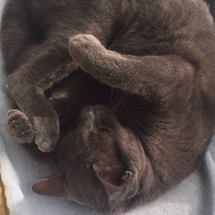 Ad500879 c3ee 45ce adc9 3fbb020bcdb1