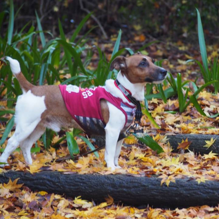 Ad50fbbb 8e04 4f9f 9401 77a6aaf84b0e