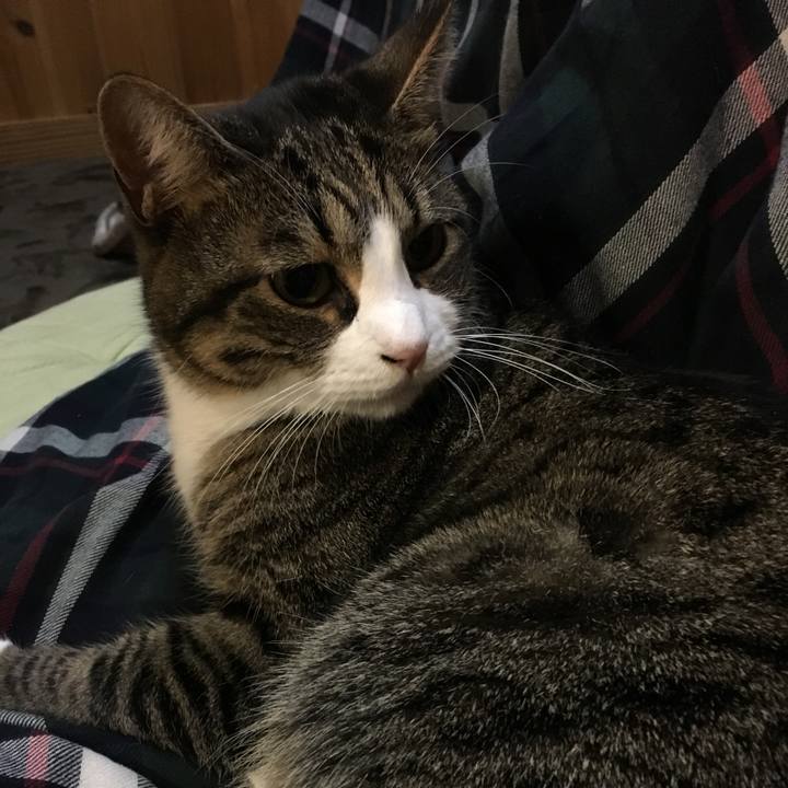 Ad515c68 28a7 4b2c 830e c0dea1cd9494