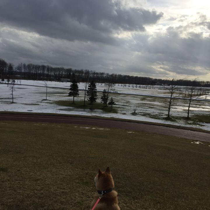 Ad522757 5faf 4cb2 b46d bef2ea66b2d9