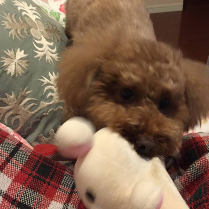 Ad528771 9262 46d2 82e6 8ad163e2b3e8