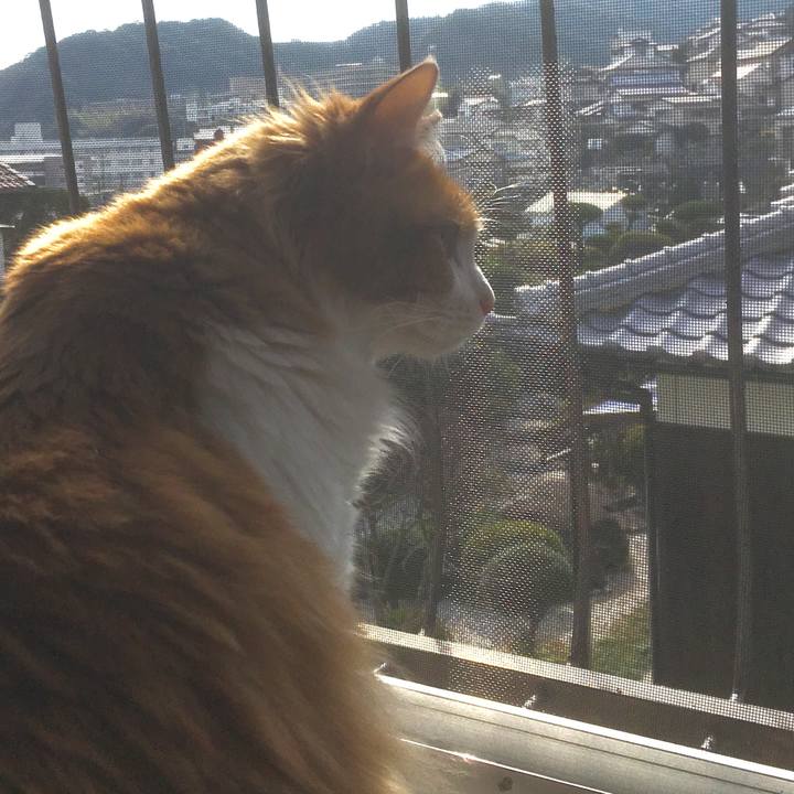 Ad529679 5d84 4f9e b464 366f0a531e41