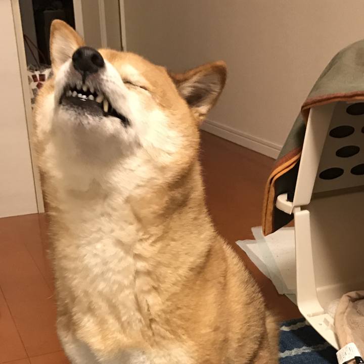 Ad5317e0 eedd 42f3 b0b3 a06746e18c36