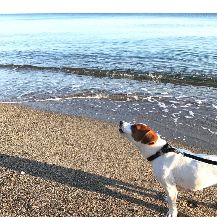 Ad535452 d1ed 4930 af4f 934030743f9f