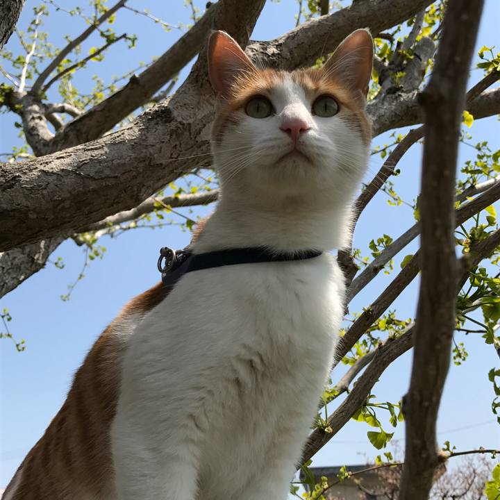 Ad53def9 3844 40f5 915f 5ebf23d3c70a