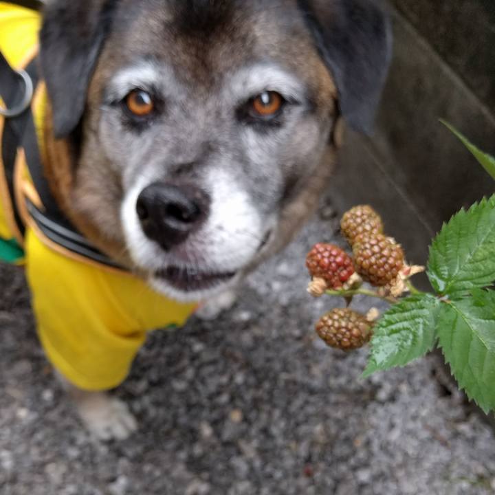 Ad53e7e3 414c 4936 8096 7ffe30b4dea6