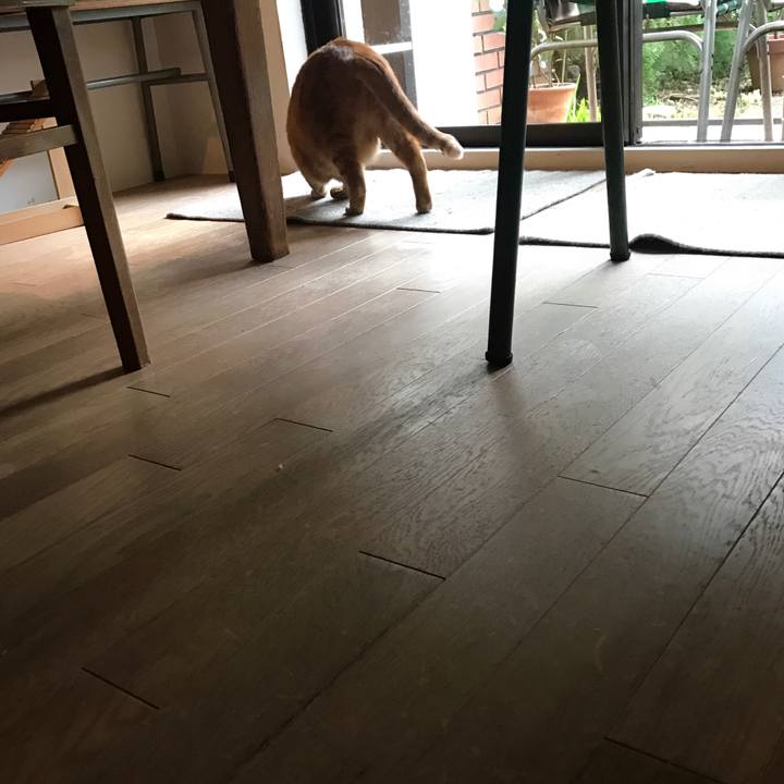 Ad53fc08 1dd0 435f 82b8 5aa6d32e6f6f