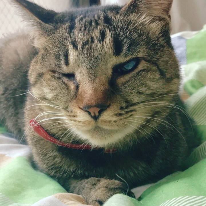 Ad544402 5a2c 4cd3 b924 865771c50115