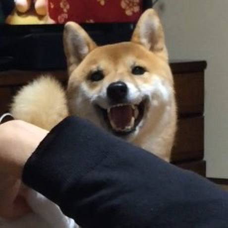 Ad544c95 af8f 4232 922a 75e173ac610f