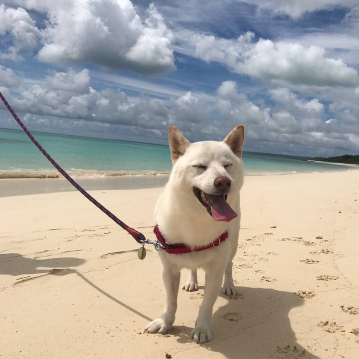 Ad549bba fe24 4176 9b04 47ef27638749