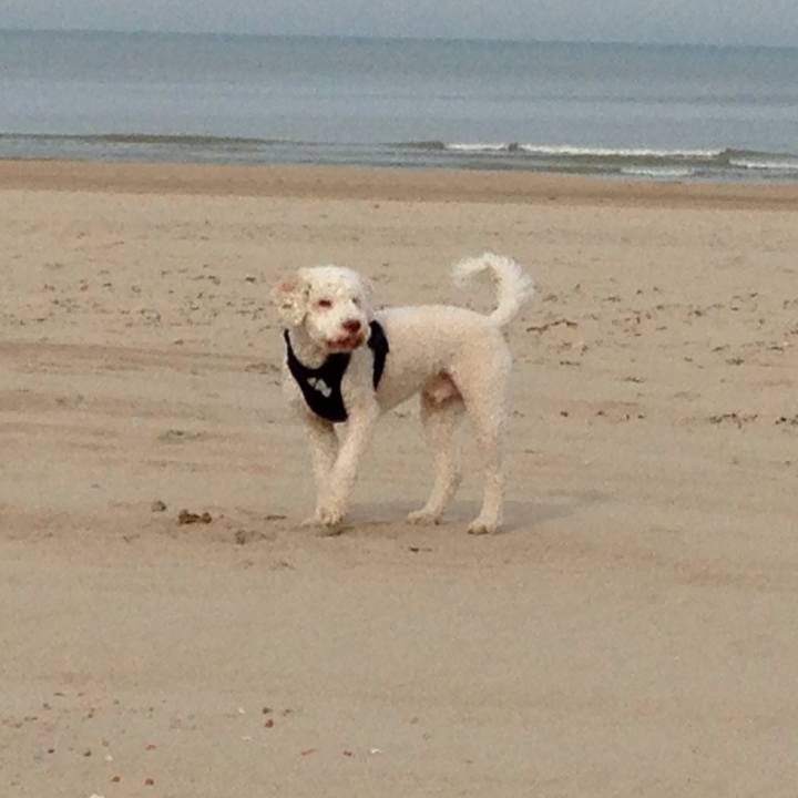 Ad558f67 a7ff 40b4 bf06 2553a27eba12