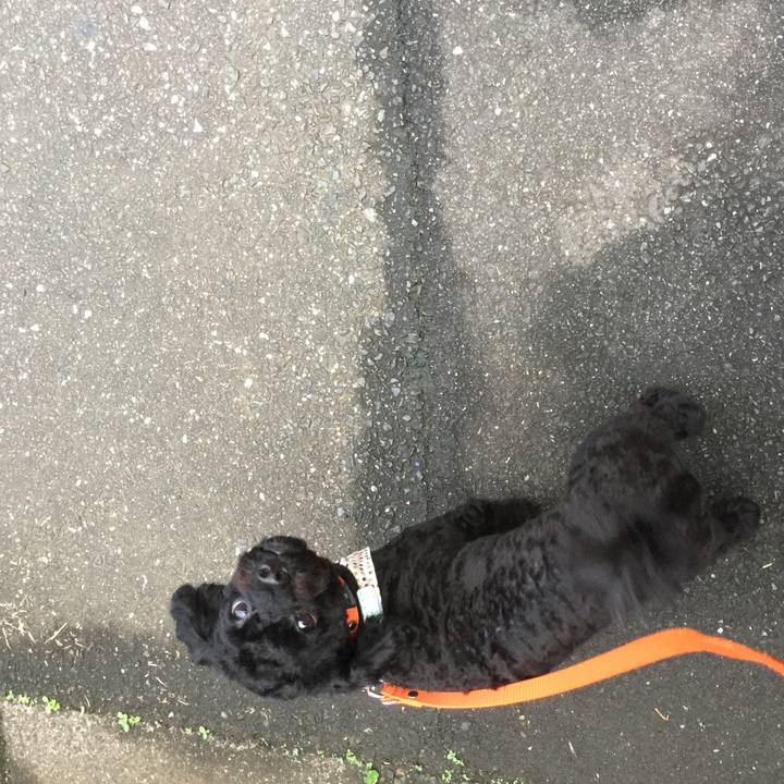 Ad561422 4661 4890 bd2a 364e7e9d6ecd