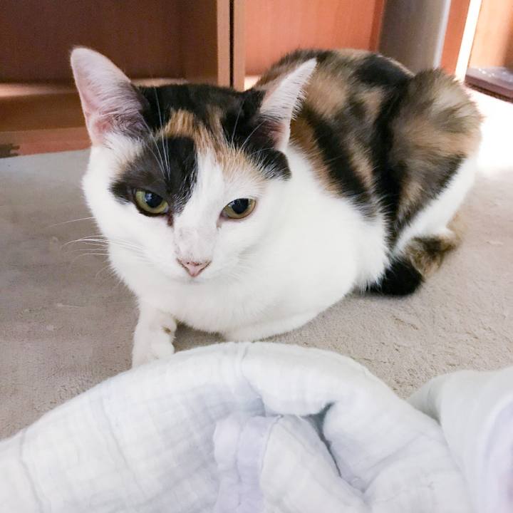 Ad562dd4 75e3 4006 9368 bb984ed198dc