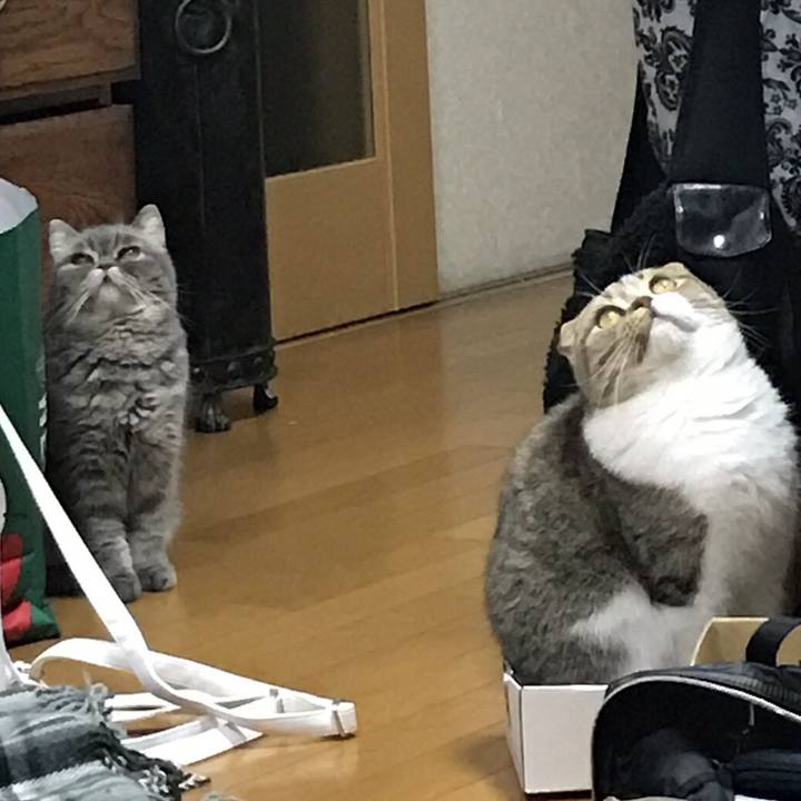 Ad569e5b 2fd0 4be3 9f33 6d87690b69f5