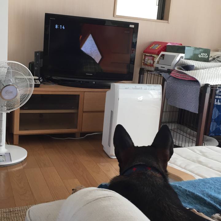 Ad56f818 d7af 4092 8c9e bf1d0c79fc46