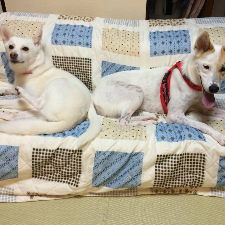 Ad571114 f51f 4673 8592 c4ca977ade69