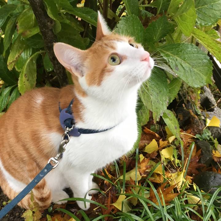 Ad574051 8afd 409e ba50 6eab43f6a4a1