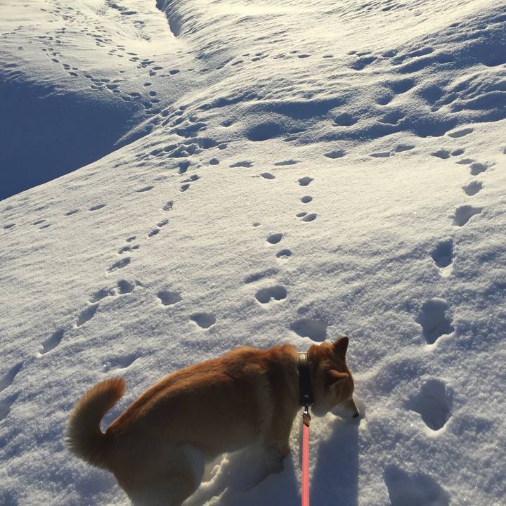 Ad57ea01 9bbe 4b55 8445 ed67b906382d