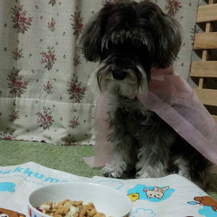 Ad582d87 4b4d 403e bb12 61a137655983