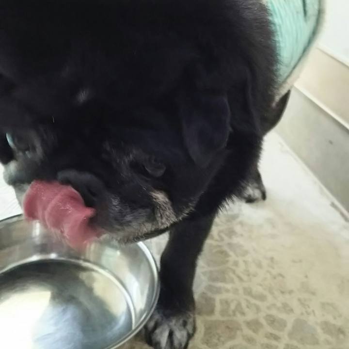 Ad5846a0 df86 49bb a3bb ff39bc0f649c