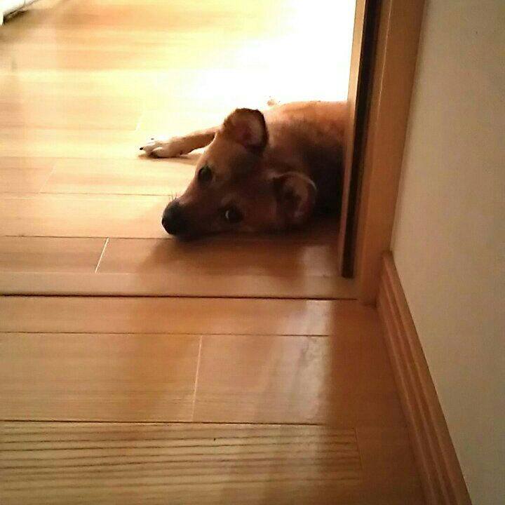 Ad587bee b06b 49b3 bd12 b0d128f5708a