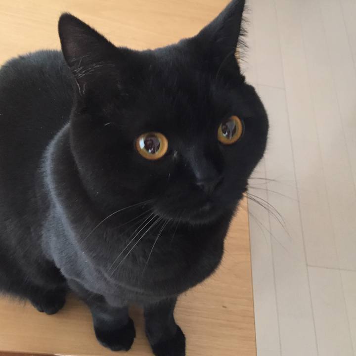 Ad592570 d8a1 496d b2a5 0760245fb273