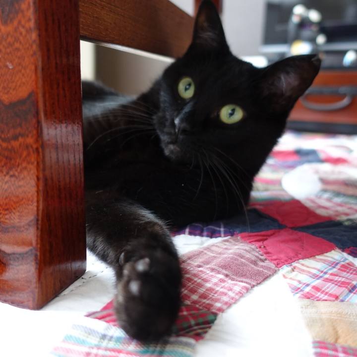 Ad5a68d9 2908 415a 87dd 3f03b3a2a27f