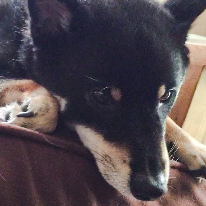 Ad5a8a50 5122 454e b19b b43af22b5261