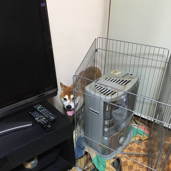 Ad5af192 16e3 424d bf76 0ba15655d64f