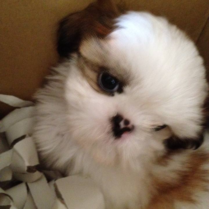 Ad5b0b59 17a5 48c4 96a8 456b0a370d5a