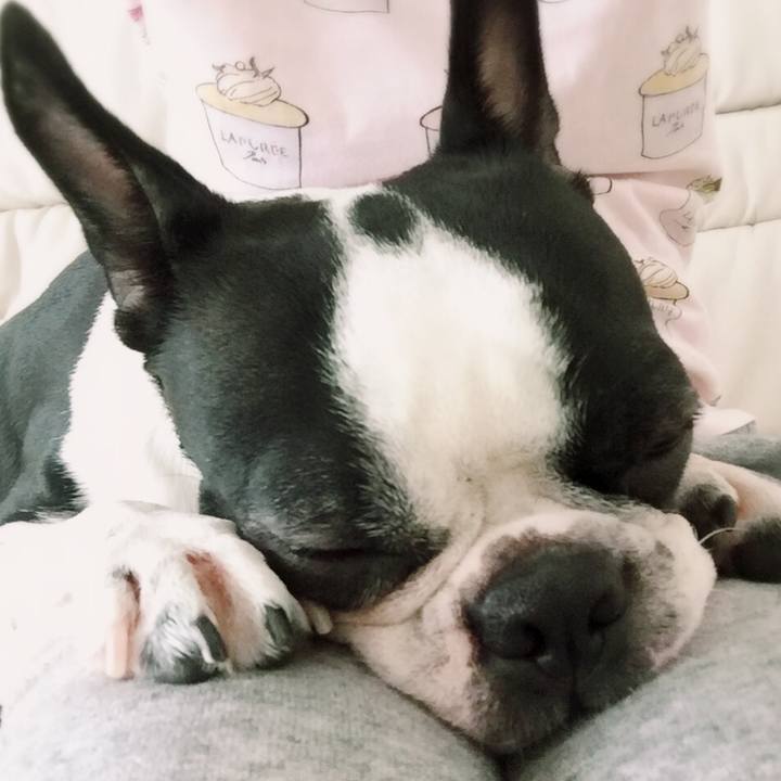 Ad5b1b4e 4be3 4d7f 893f 31c83a8eadca