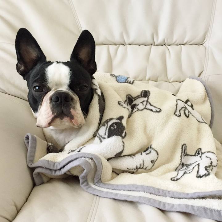 Ad5b546f 0a9b 4b55 881c ad4aa57ab60f