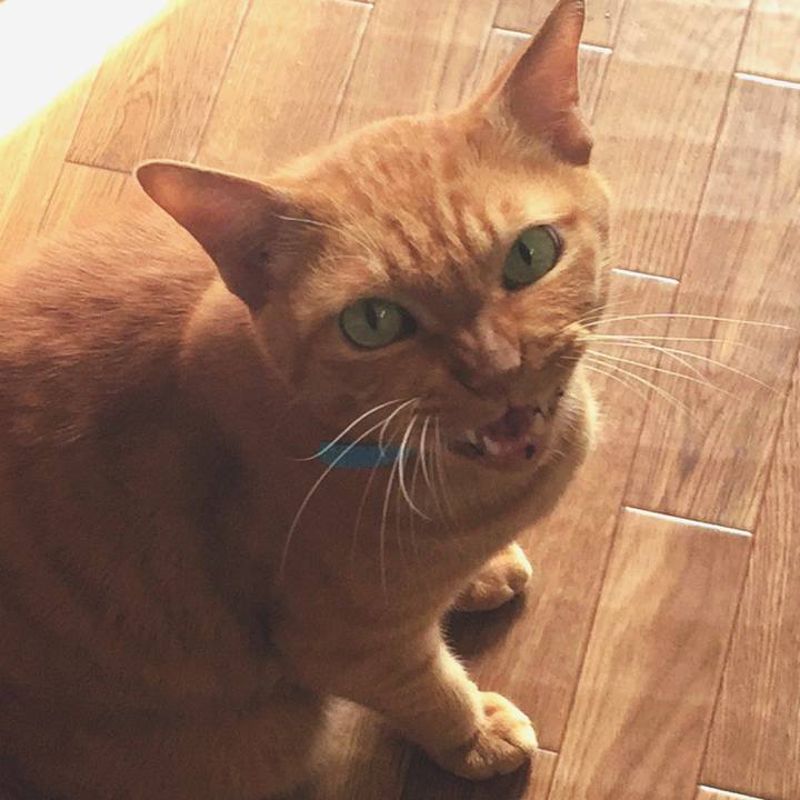 Ad5b6087 f0f2 4e71 8f75 9ed462373259