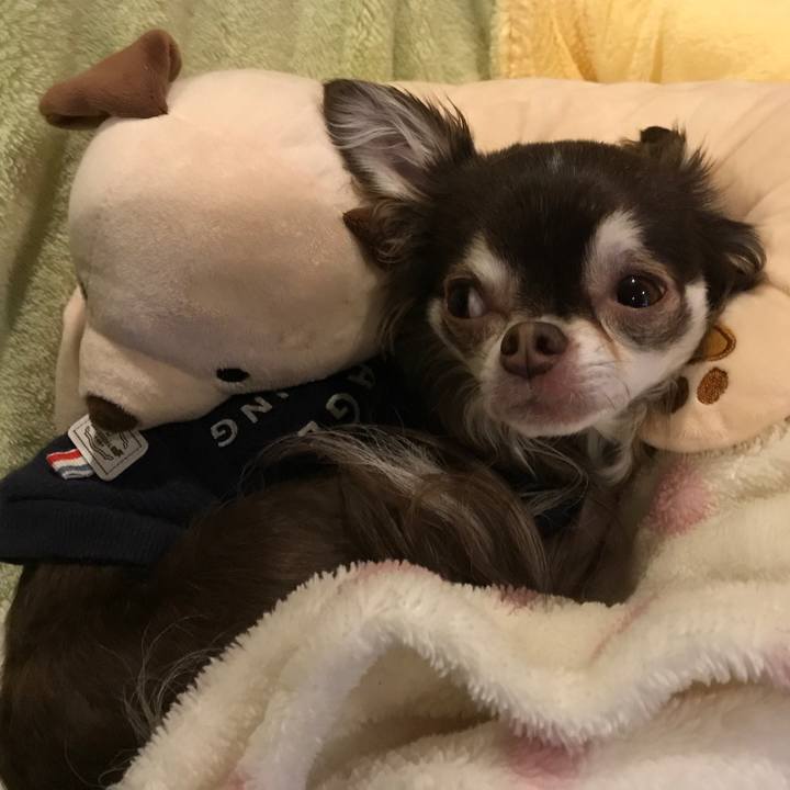 Ad5bff8a 47e1 43d1 b9a0 07931bf0f434