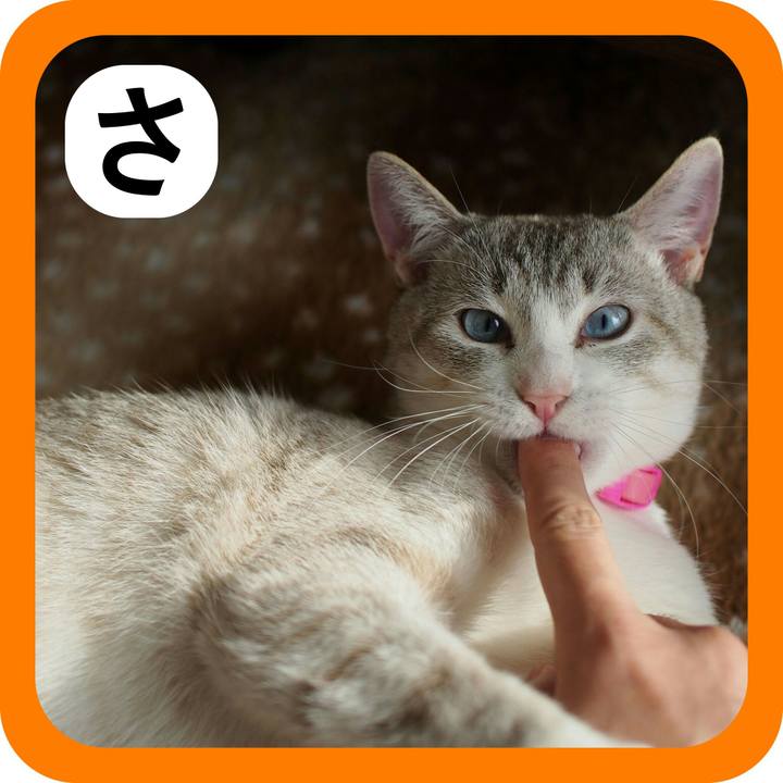 Ad5c3f64 d4f3 48dd a4a3 15dd06e19dd7