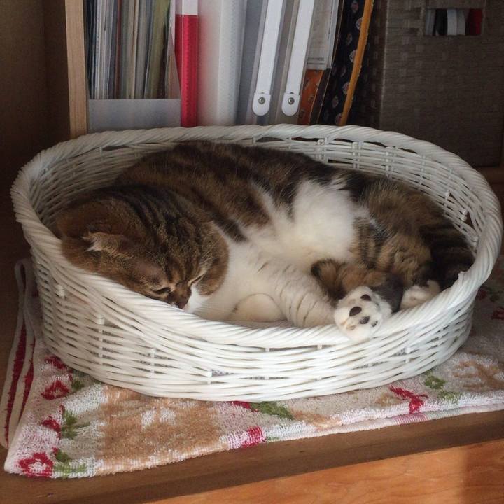 Ad5c4c8a 0929 41c2 b81f 4ac60eeafaa5