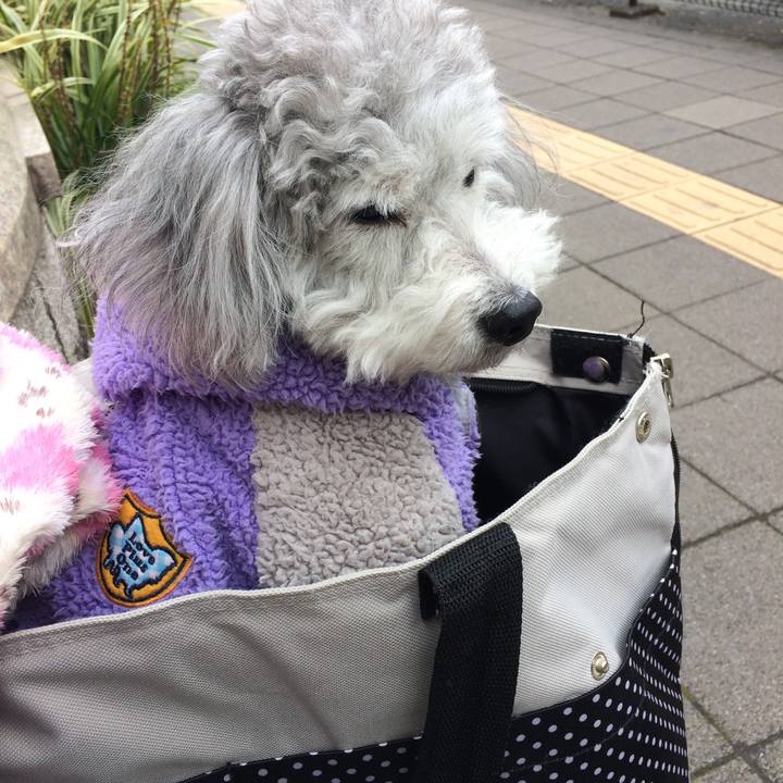 Ad5cc282 1eba 4029 9412 86fe9252476c