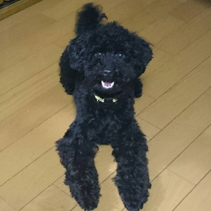 Ad5ce73f 0597 4758 bf1c 43c15f4ddbdf