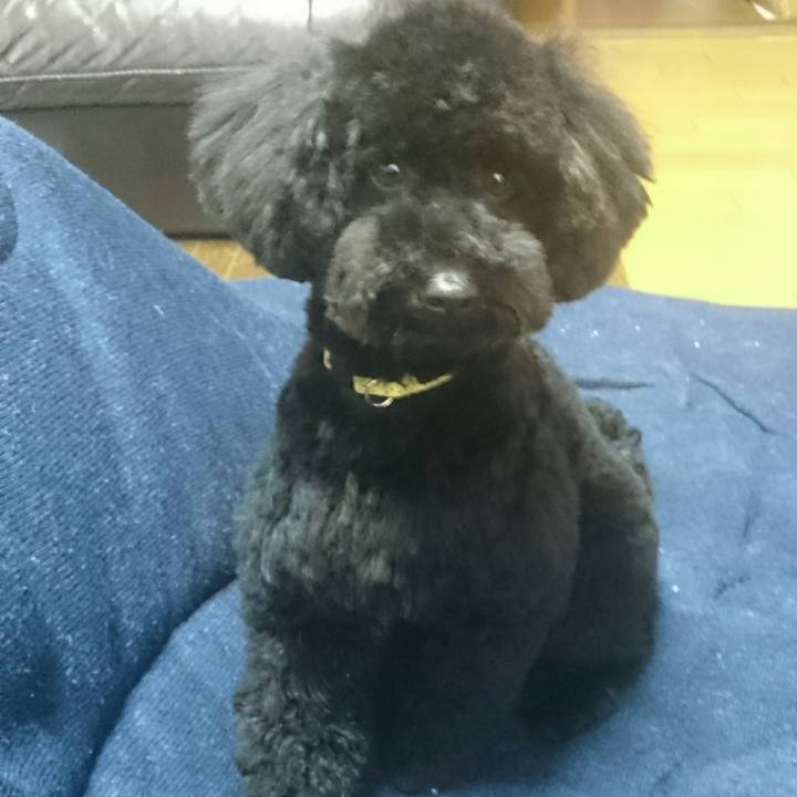 Ad5dd61b 0f41 4fed b4e9 bcddf0ffd694