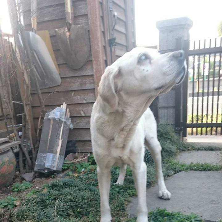 Ad5df950 2de0 40dc aba3 82127c0e71bc