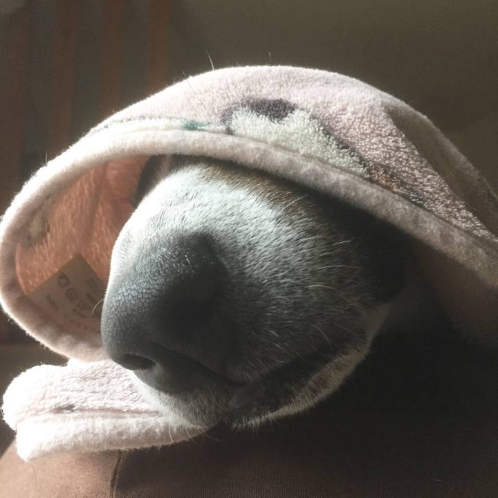 Ad5f11e5 1cf3 48c4 9980 9e06e2e64174