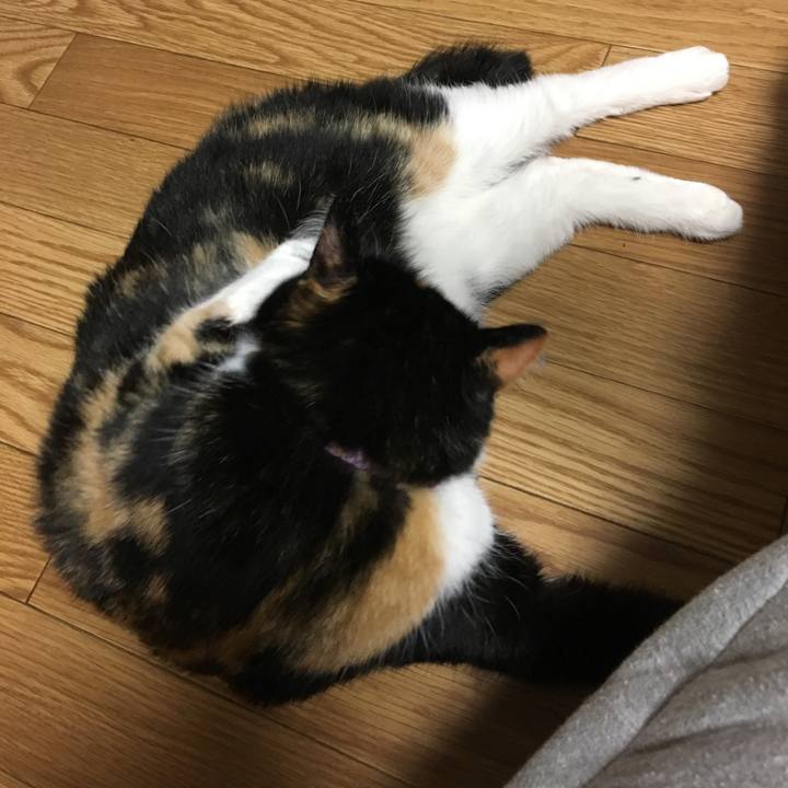 Ad5f9799 2dd2 4cf5 a1f1 3db2193b2116